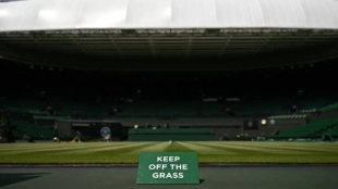 Los 10 grandes alicientes para disfrutar de Wimbledon 2024